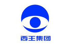 山東西王糖業(yè)有限公司
